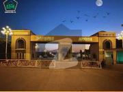 Agosh phase ii 1knal plot available for sale