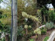 Imperdível casa rural para venda em Vila Rica, 500m²