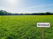 Agrar Juwel am Haunsberg: Ebenes Grünland mit...