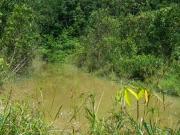 Agri Land at Semenyih For