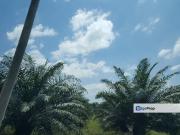 Agri land in industrial zoning at Ijok For