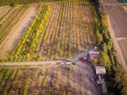 Agrícola en Buin