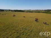 Agrícola en Chillán