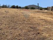 Agrícola en La Reina