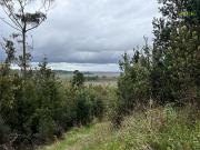 Agrícola en Puerto Montt