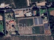 Agrícola en San Bernardo