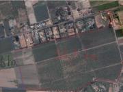 Agrícola en San Bernardo