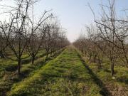 Agrícola en venta de 600000m2 ubicado en Requínoa