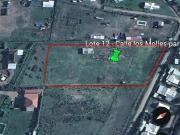 Agrícola en Venta en C. Los Molles con El Sauce
