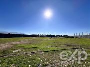 Agrícola en Venta en Cacique Collin