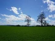 Agrícola en Venta en Caivico