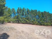 Agrícola en Venta en calle colenhuao parcela 109