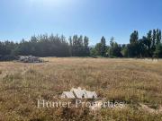 Agrícola en Venta en Camino a Pelarco a 2,7 KM de la...