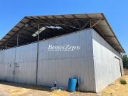 Agrícola en Venta en Camino El Guanaco