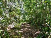 Agrícola en Venta en camino Los Lagos Agrícola en Venta en camino Los Lagos