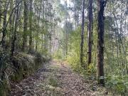 Agrícola en Venta en Cerca de Carahue, ruta T 210