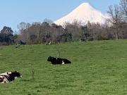 Agrícola en Venta en Chahuilco