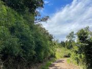 Agrícola en Venta en COD39264 A 5 minutos de Temuco...