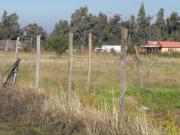 Agrícola en Venta en Colina