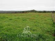 Agrícola en Venta en Los Muermos