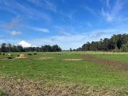 Agrícola en Venta en Paullin