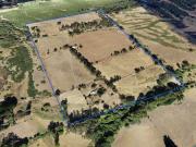 Agrícola en Venta en PITRUFQUEN SN.VICENTE ESPERANZA...