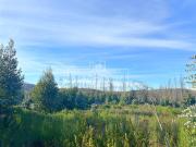 Agrícola en Venta en QUILQUELT, Santa Juana