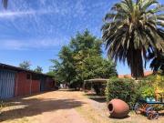 Agrícola En Venta En Rengocon Casa Patronal, Bodegas