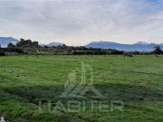 Agrícola en Venta en Rio Claro, San Gerardo