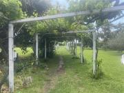 Agrícola en Venta en Ruta G 46 / Las Tortolas
