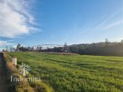 Agrícola en Venta en Ruta U 720, Purranque, Décima Región