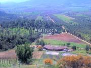 Agrícola en Venta en Sector Cholqui Agrícola en Venta en Sector Cholqui