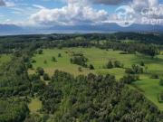 Agrícola en Venta en Sector Chucauco el Canelo Viejo... Agrícola en Venta en Sector Chucauco el Canelo Viejo...