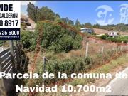 Agrícola en Venta en Sexta Región