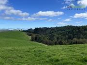 Agrícola en Venta en Tambor bajo