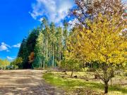 Agrícola en Venta en Temuco