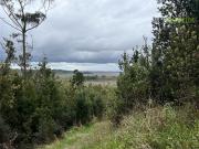 Agrícola en Venta en Trapen, ruta San Antonio