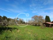 Agrícola en Venta en Valdivia