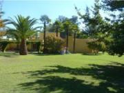 Agrícola en Venta en Venta Terreno 3,85 Hás Agro con...