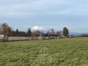Agrícola en Venta en COD37461 Vilcún Temuco