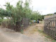 Agricolo in Strada Vicinale Incorvino Santa Caterina 2