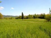Agricolo in vendita a Castellina Marittima