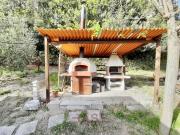 Agricolo in vendita a Cecina