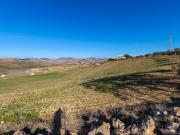 Agricolo in vendita a Centuripe