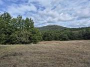 Agricolo in vendita a Civitella Paganico