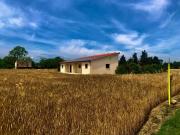 Agricolo in vendita a Jesi