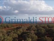 Agricolo in vendita a Manduria