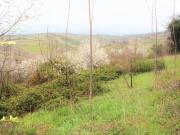 Agricolo in vendita a Mozzagrogna