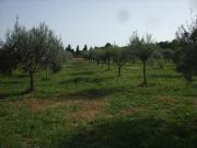 Agricolo in vendita a Palazzolo Acreide