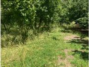 Agricolo in Via Carcarelle